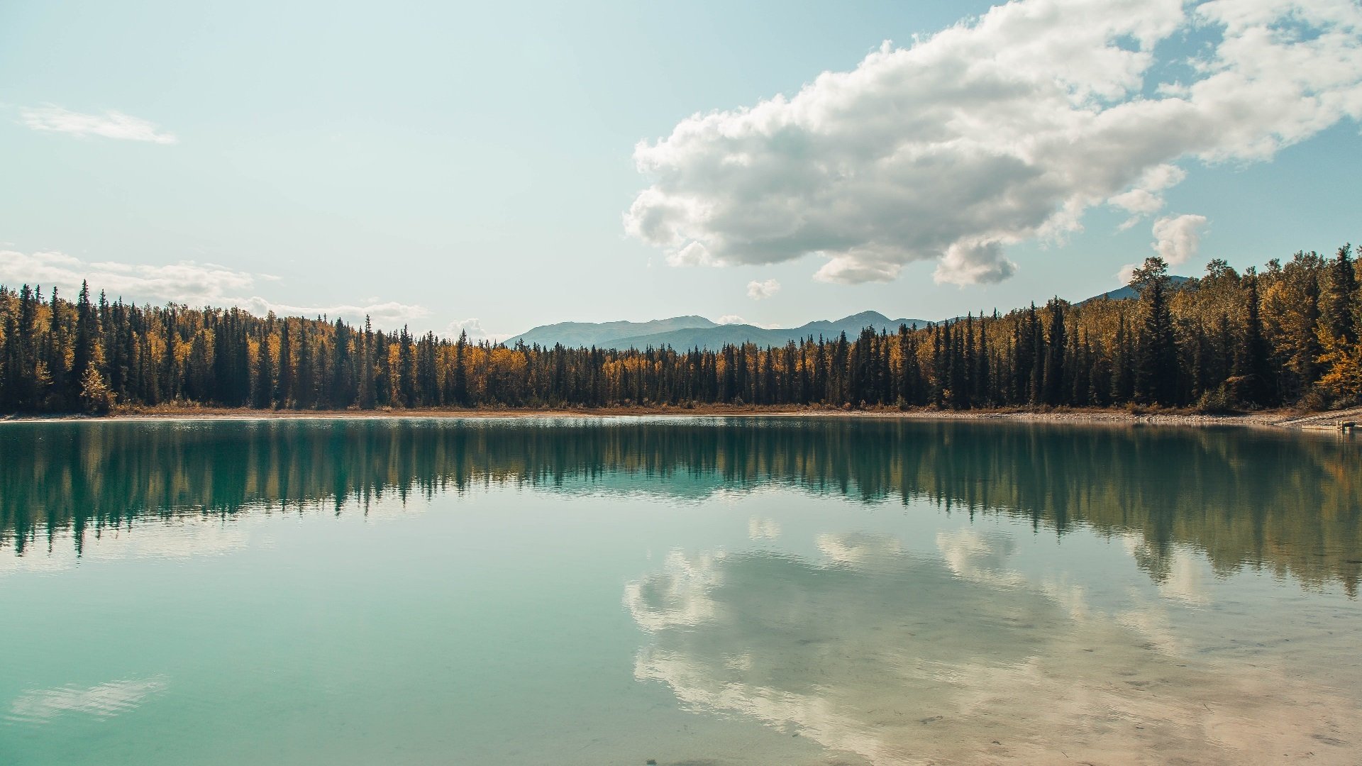 卡塔尔资本入主佛罗伦萨,穆勒成新蓝图关键先生