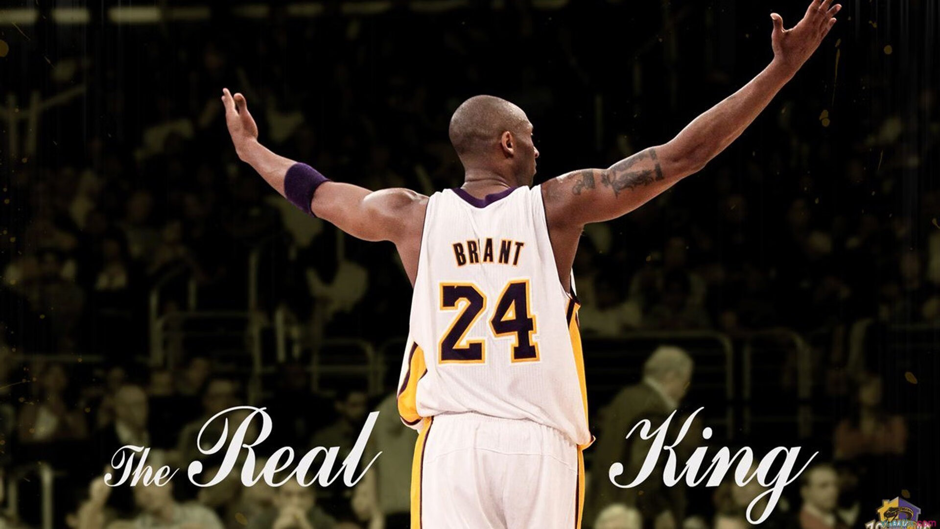 范弗利特时间！纽约新王加冕夜，他让麦迪逊花园相信唯一